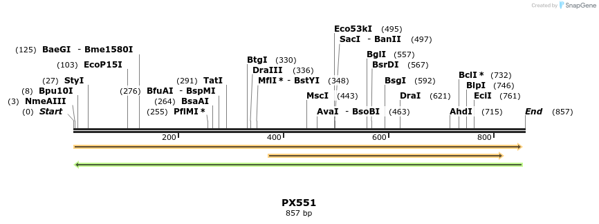 99558_map