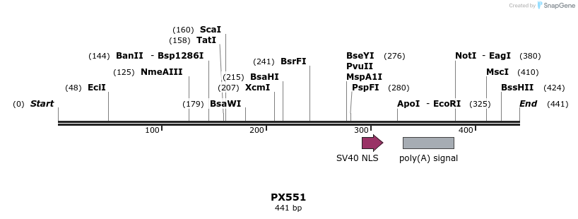 99560_map