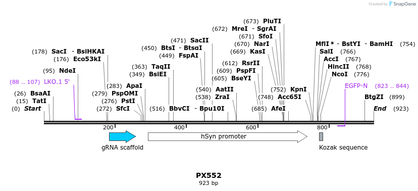 99561_map