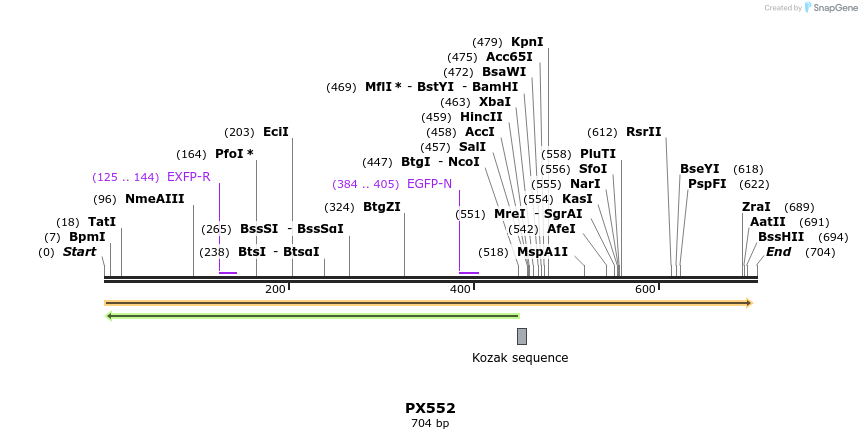 99562_map