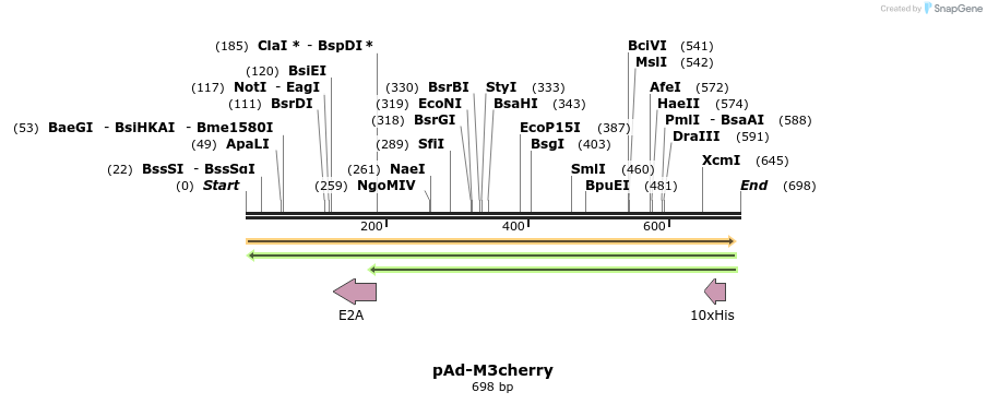 99573_map