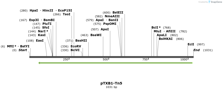 99575_map