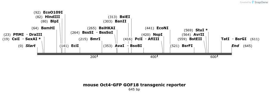 99580_map