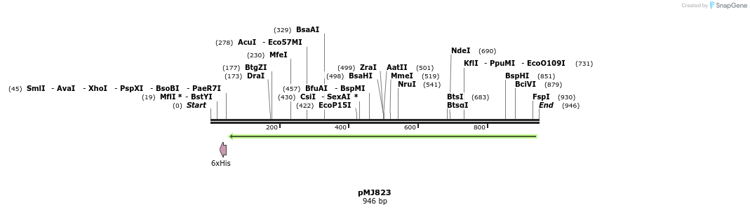 99583_map