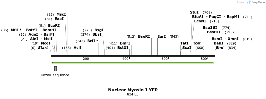 99590_map