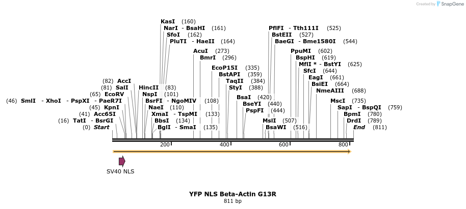 99591_map