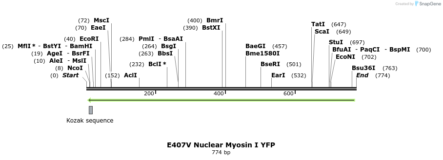 99593_map