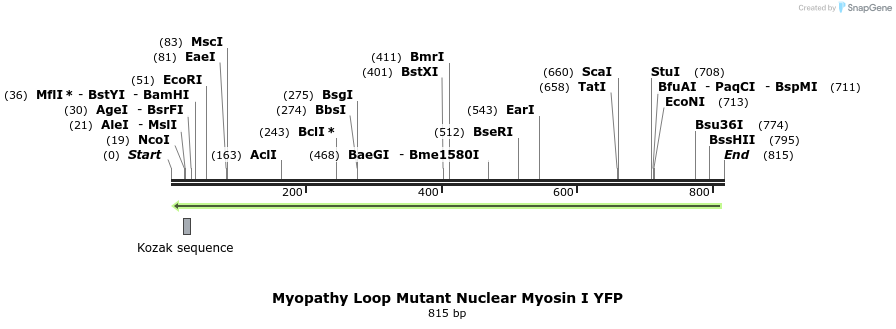 99594_map