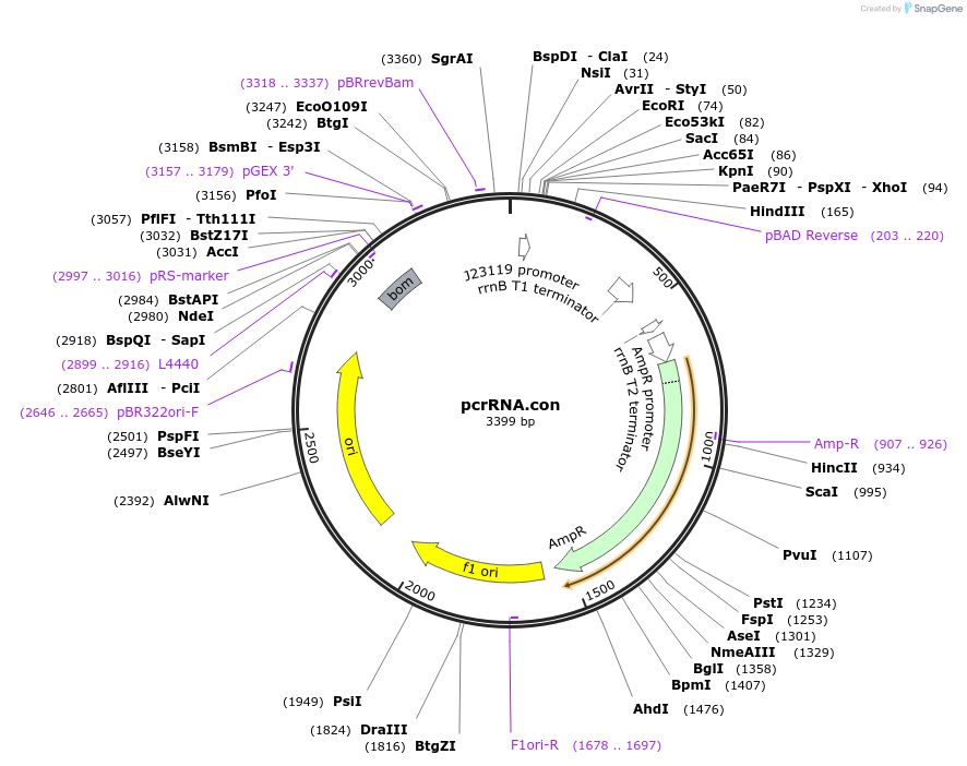 99597_map