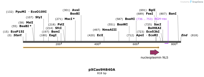 99599_map