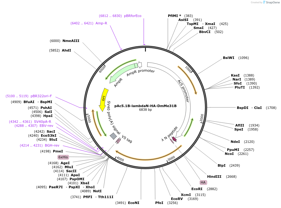 9960_map