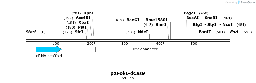 99601_map