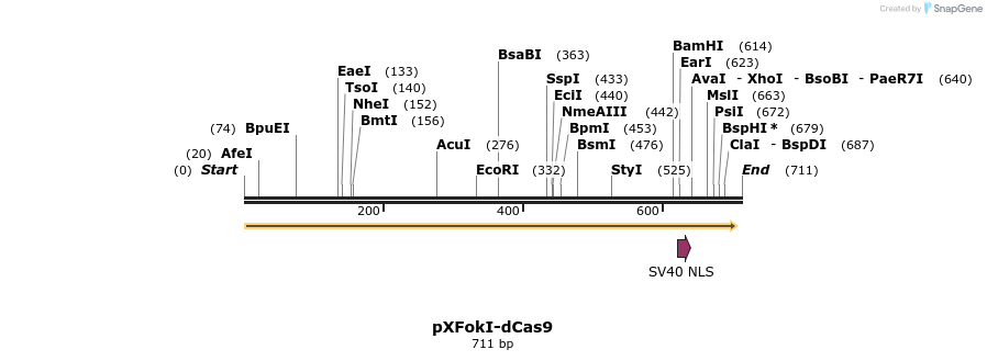 99602_map
