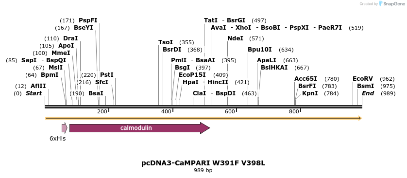 99606_map