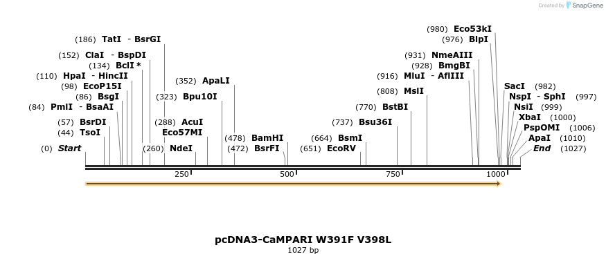 99607_map