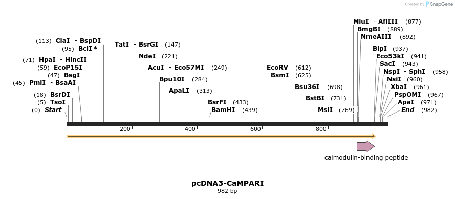 99609_map