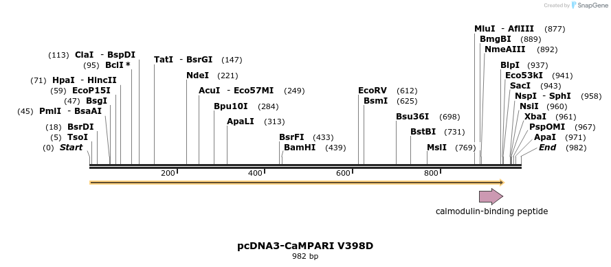 99611_map