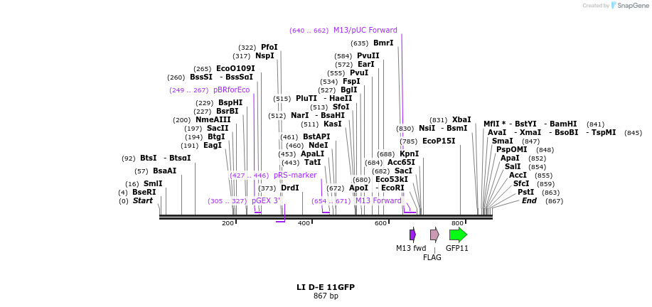 99614_map