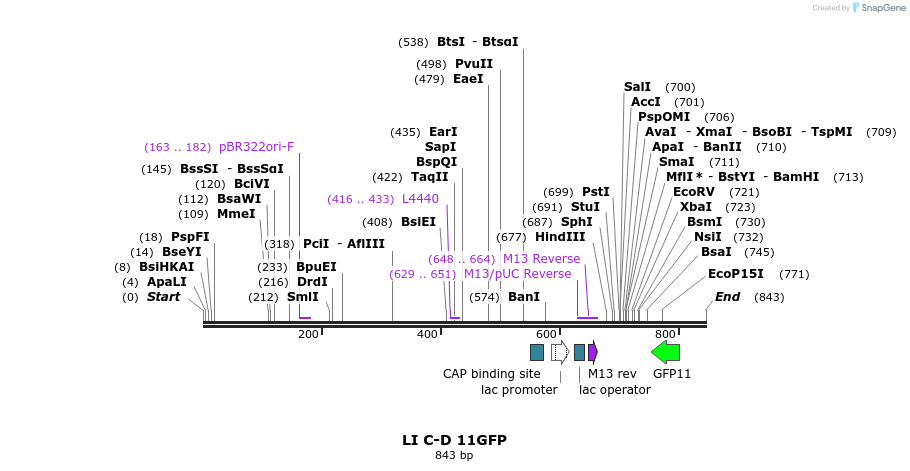 99615_map