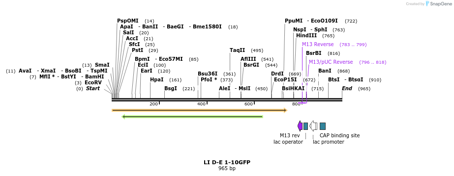 99617_map