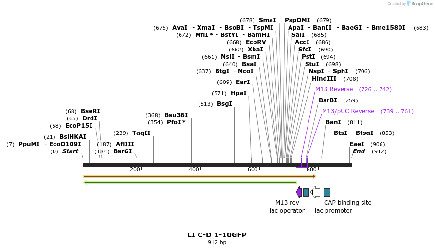 99620_map