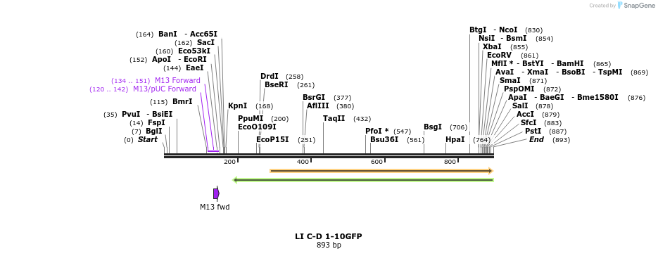 99621_map