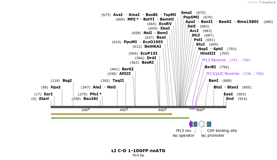99622_map