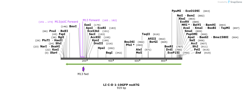 99623_map