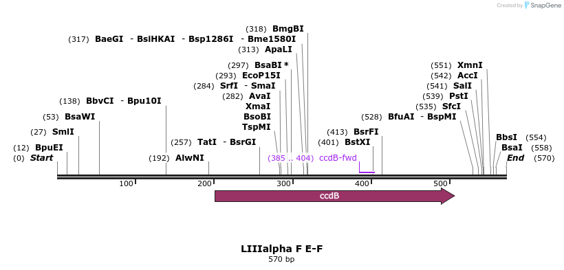 99625_map