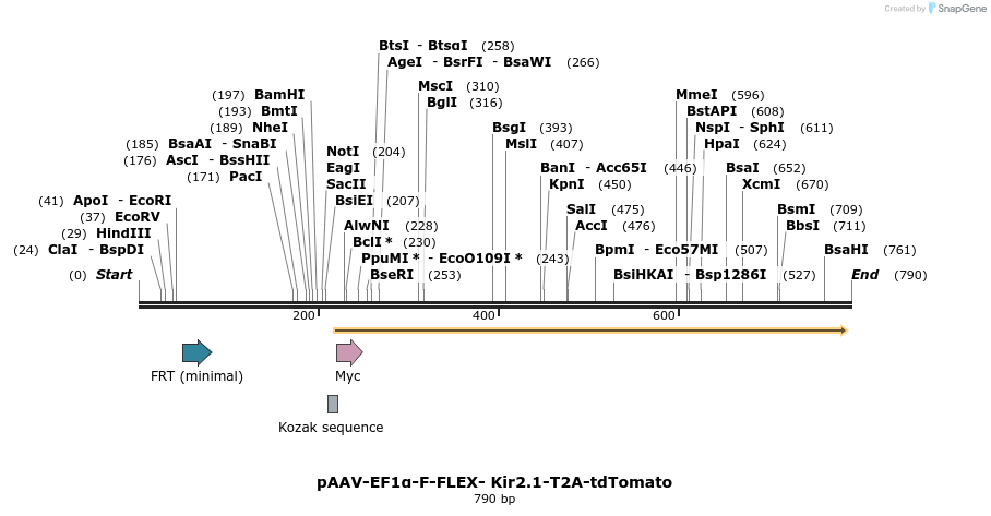 99631_map