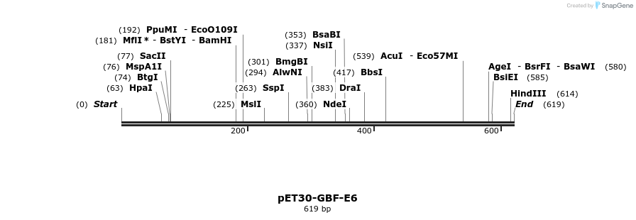 9964_map