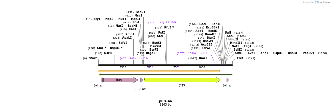 99644_map