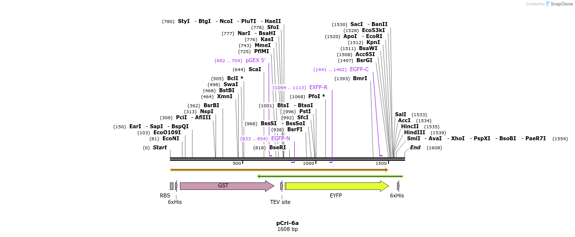 99645_map
