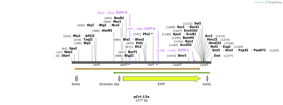 99651_map