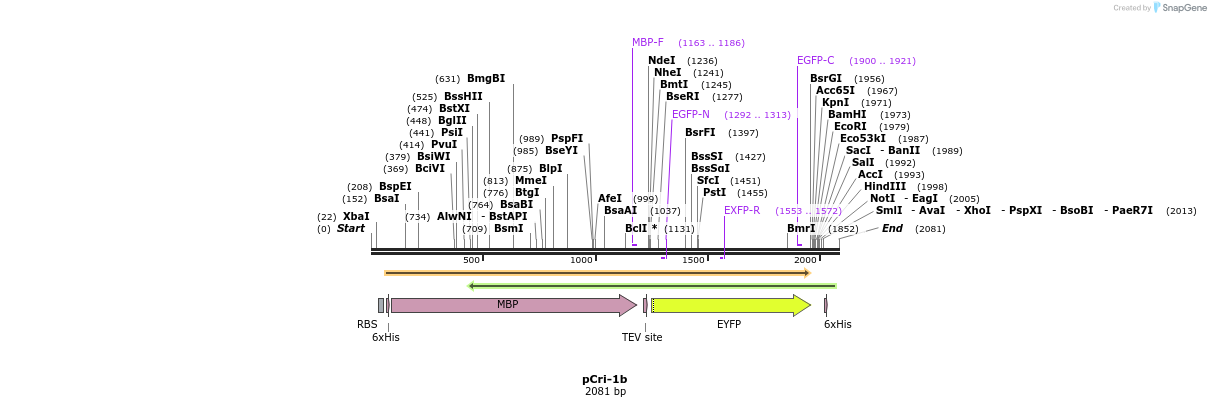 99657_map