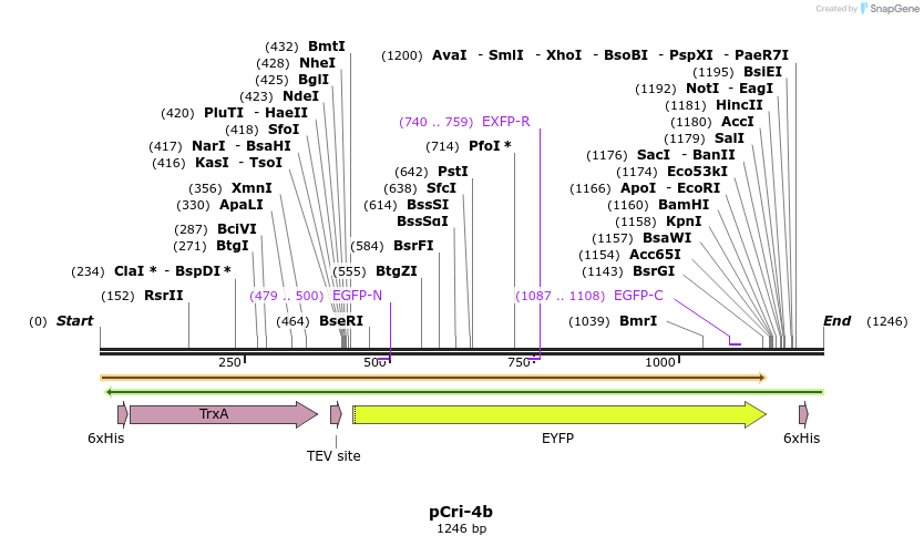 99658_map