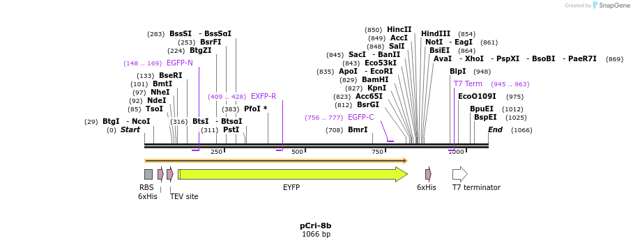 99661_map