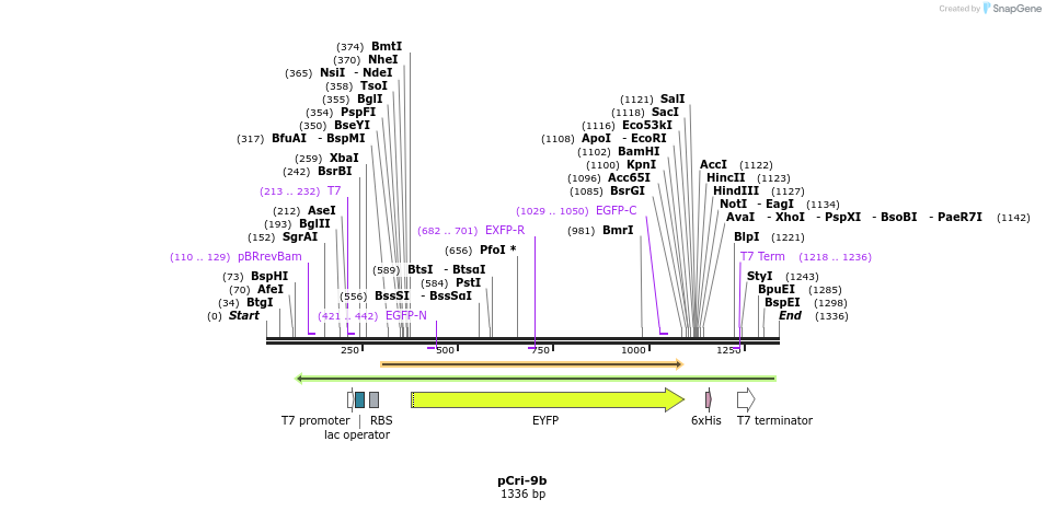 99662_map