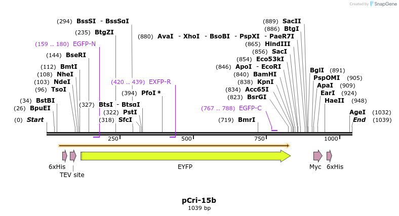 99667_map
