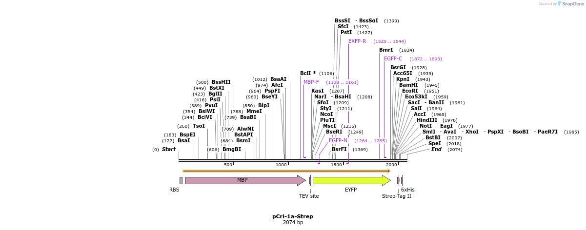 99668_map