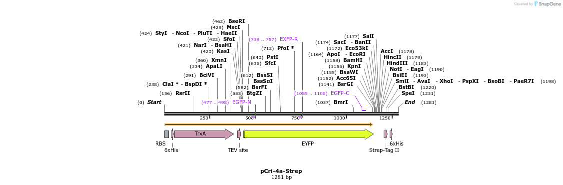 99669_map