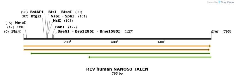 99674_map