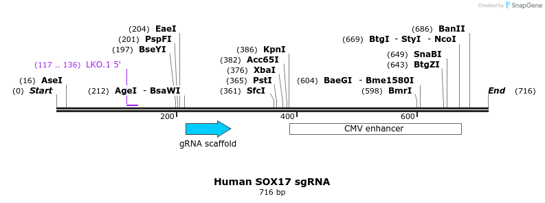 99676_map