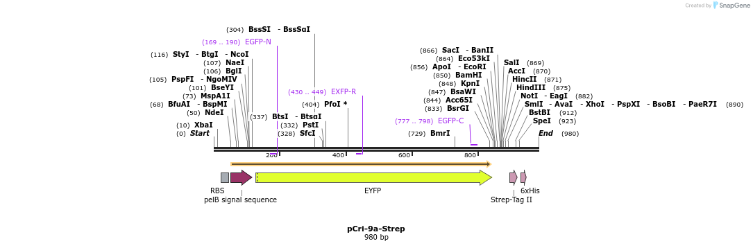 99680_map