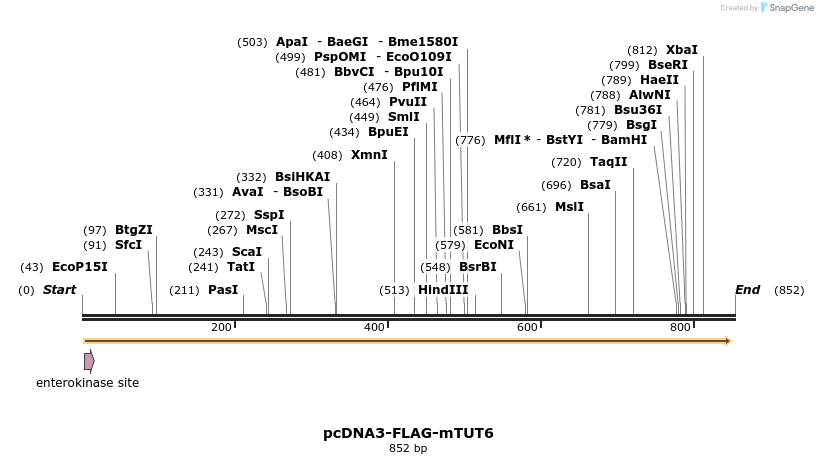 99681_map