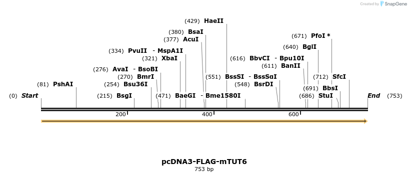 99682_map