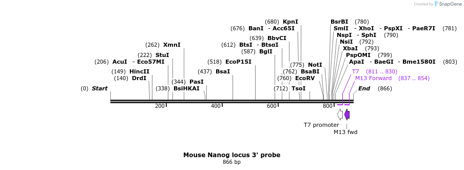 99683_map