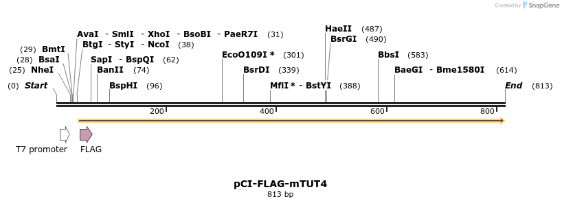99690_map