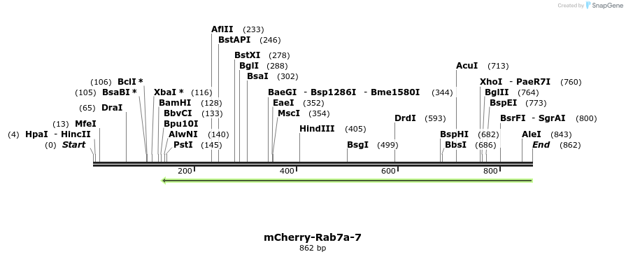 99691_map