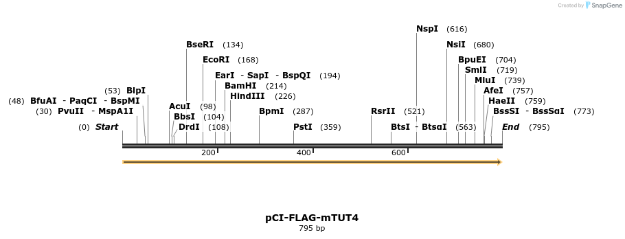 99692_map